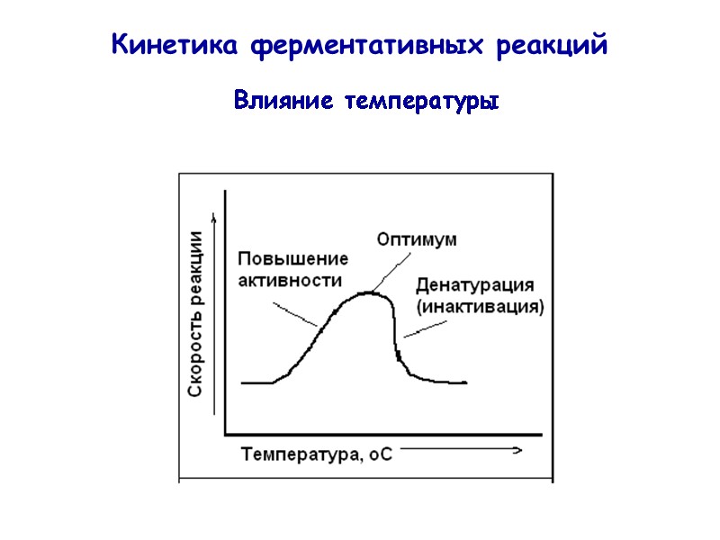 Кинетика ферментативных реакций Влияние температуры
